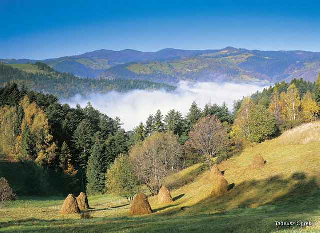 Mist in the Czercz Valley