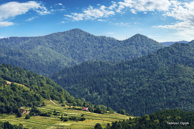 View of Skalka [1163m] and Czeremche from above Szczawnica