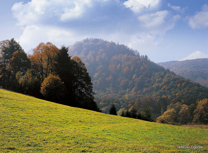View over Zbojnicki Wierch in Slovakia