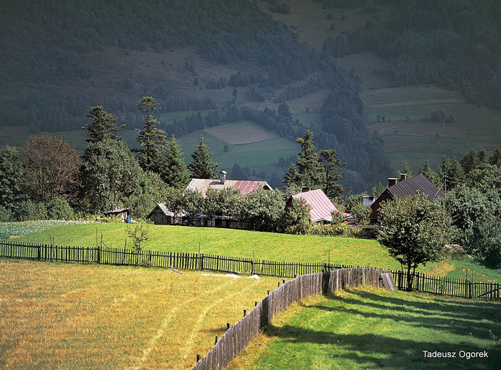 On the slopes of Niemcowa